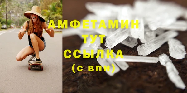 МДПВ Нея