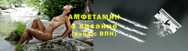 МДПВ Нея